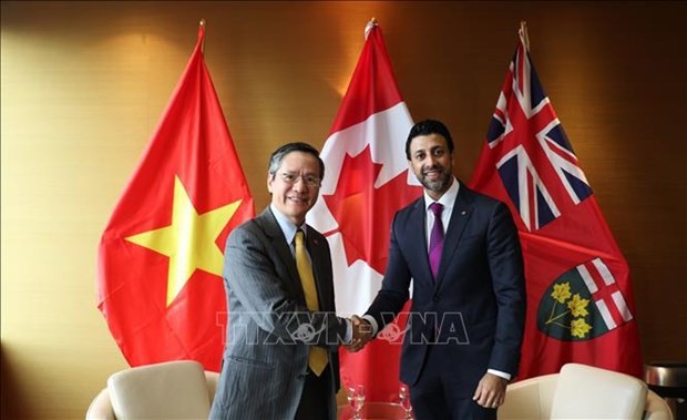 Vietnam holds important position in Canada’s Indo-Pacific Strategy: official