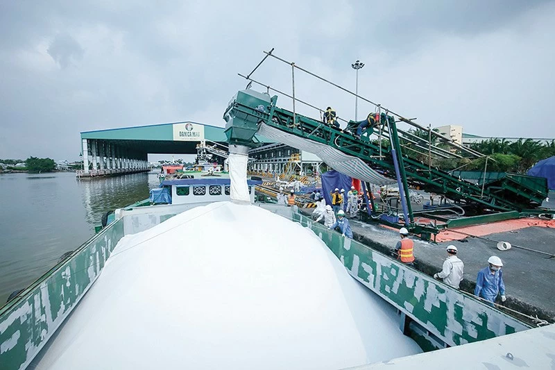 PHÂN BÓN CÀ MAU: Vững bước ra biển lớn PHÂN BÓN CÀ MAU: Vững bước ra biển lớn