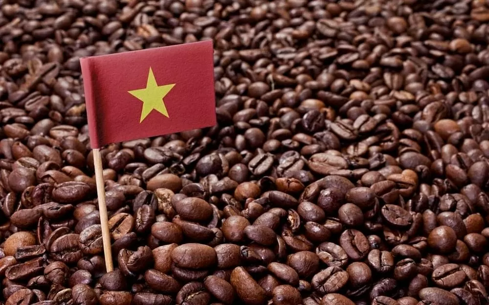 Vietnamese coffee husk exported to RoK Vietnamese coffee husk exported to RoK