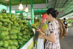Southern Fruit Festival in HCM City celebrates Vietnamese agriculture