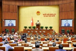 National Assembly discusses regulations on lawful activities related to drugs