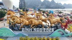 Digital innovation spurs tourism growth in Quang Ninh
