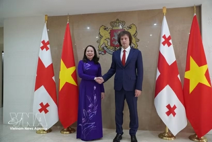 Vice President Vo Thi Anh Xuan holds talks with Georgian PM Irakli Kobakhidze to deepen bilateral cooperation