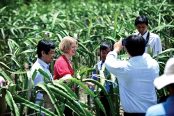 Việt Nam-New Zealand: Hiện thực hóa mục tiêu 1,7 tỷ USD