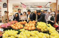 Hội nghị Ngoại giao 30: Doanh nghiệp gọi - Đại sứ trả lời