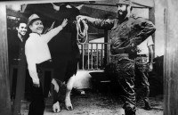 Kỷ niệm sâu sắc về Fidel với Việt Nam