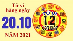 Tử vi hôm nay, xem tử vi 12 con giáp 20/10/2021: Tuổi Mão cần giữ gìn sức khỏe