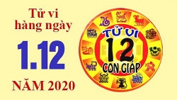 Tử vi hôm nay - Xem tử vi vui 12 con giáp ngày 1/12: Tuổi Dậu vượng vận đào hoa, tuổi Sửu dễ bị lừa gạt