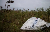 Ukraine xử lý đối tượng vận chuyển tên lửa bắn hạ máy bay MH17