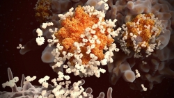 Covid-19: Siêu kháng thể - phản ứng miễn dịch đang 'thách đố' các nhà khoa học