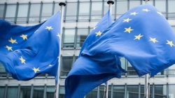 EU áp đặt thuế chống bán phá giá đối với các sản phẩm từ Mỹ và nhiều nước châu Á