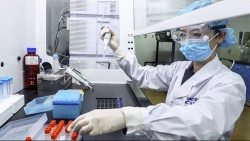 Covid-19 ở Việt Nam sáng 20/2: Không có ca mắc mới, hội chẩn quốc gia 3 bệnh nhân rất nặng