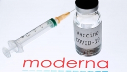 Được WHO cấp phép, vaccine Covid-19 Moderna sẽ là 'cứu tinh' mới?