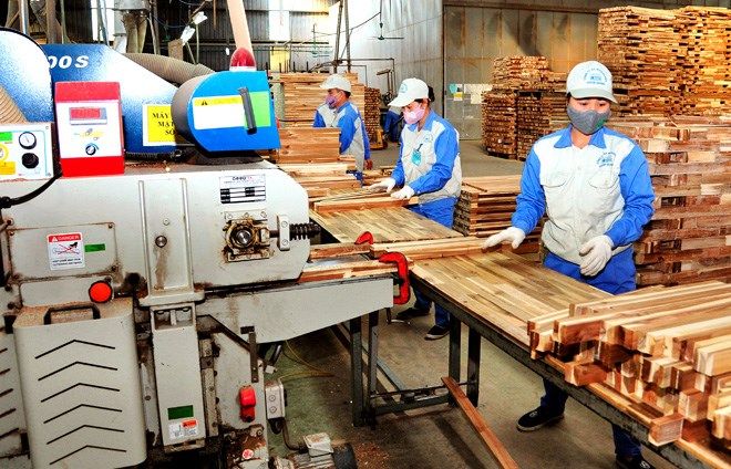 wood exports post marked growth amid covid 19 pandemic outbreak