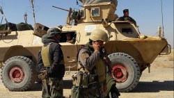 Mỹ, EU hối thúc nối lại hòa đàm nhanh chóng, 'không có điều kiện tiên quyết' tại Afghanistan