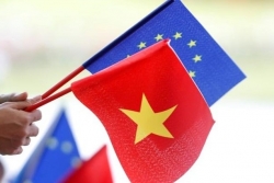 Thông tin Việt Nam phê chuẩn EVFTA xuất hiện dày đặc trên truyền thông châu Âu