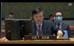 Hội đồng Bảo an khẳng định ủng hộ nỗ lực hoà bình cho Yemen của Đặc phái viên TTK LHQ mới