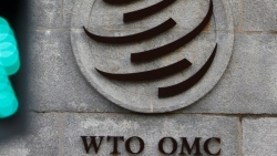Đại sứ Australia tại WTO chỉ trích 'toan tính chính trị' trong chính sách thương mại của Trung Quốc