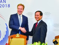 Dấu ấn hội nhập, liên kết kinh tế Việt Nam 2018