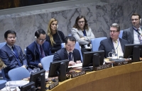Hội đồng Bảo an họp về gia hạn hoạt động của UNFICYP và nghe Báo cáo của UNSMIL