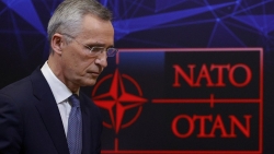 NATO hành động sau vụ tấn công mạng ở Ukraine, thừa nhận mở rộng sang phía Đông là do... Nga