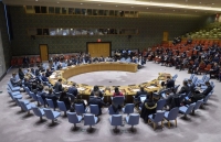 Hội đồng Bảo an nghe báo cáo của Chủ tịch Tổ chức An ninh và Hợp tác châu Âu