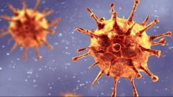 Covid-19: Toàn cầu có 4.000 biến thể virus SARS-CoV-2, thêm 3 biến thể mới ở châu Mỹ
