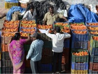 ​WB: Kinh tế Ấn Độ tăng trưởng 7,3% trong tài khóa 2019