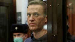 Nga tuyên án tù nhân vật đối lập Navalny, Mỹ-EU lập tức lên tiếng