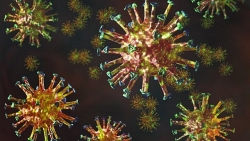 Covid-19: Nga khẳng định vaccine ngừa bại liệt có hiệu quả phòng SARS-CoV-2