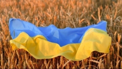 Tổng thống Nga chỉ điểm cách mở 'lối thoát' cho ngũ cốc Ukraine