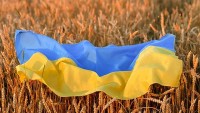 Thổ Nhĩ Kỳ sẵn sàng gặp 4 bên về ngũ cốc Ukraine, chờ tin Nga