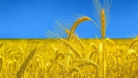 Khủng hoảng lương thực: EU vạch ranh giới, Nga đổ tại chính sách của phương Tây