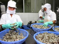 Australia công bố quy trình kiểm tra chặt hàng thủy sản của Việt Nam