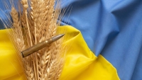 Nga chỉ điểm tuyến đường 'giải cứu' ngũ cốc Ukraine