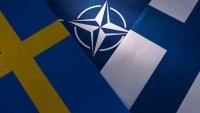 Đến lượt ủy ban trong Thượng viện Mỹ ủng hộ Phần Lan, Thụy Điển gia nhập NATO