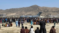 Việt Nam lên án vụ tấn công khủng bố gây thương vong nghiêm trọng tại sân bay Hamid Karzai, Afghanistan