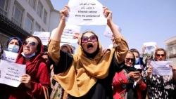 Afghanistan: Taliban đình chỉ công việc của đội ngũ nhân viên nữ, gạch tên Bộ Phụ nữ?