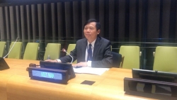 Việt Nam chủ trì phiên họp của Ủy ban của Hội đồng Bảo an về Nam Sudan