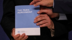 Giữa lúc bầu cử căng 'như dây đàn', Mỹ chính thức rút khỏi Hiệp định Paris về biến đổi khí hậu