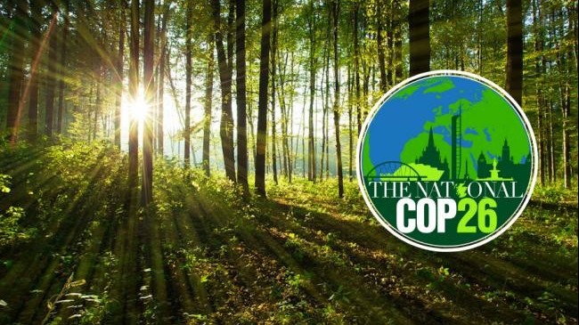 Thượng đỉnh COP26: Hơn 100 nhà lãnh đạo thế giới cam kết bảo vệ 'lá phổi của hành tinh'