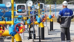 Dòng chảy phương Bắc 2: Gazprom ra tuyên bố, Nga nói gì về ngày khai trương?