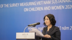 Việt Nam đạt thành tựu về phát triển và phúc lợi của trẻ em và phụ nữ trong một số lĩnh vực