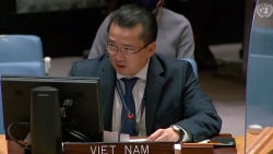 Cuộc họp của Hội đồng Bảo an: Việt Nam kêu gọi các nước thực hiện các cam kết cắt giảm phát thải