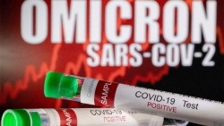 Bí ẩn nguồn gốc Omicron và những biến thể khác của SARS-CoV-2
