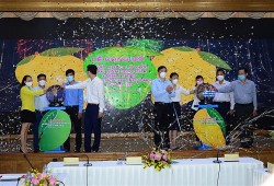 Xoài Đồng Tháp 'vượt biên' sang châu Âu