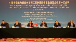 Khởi động cơ chế giao lưu hợp tác nông nghiệp giữa 5 tỉnh Việt Nam-Trung Quốc