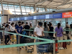 Covid-19: Hơn 230 công dân Việt Nam từ Hàn Quốc trở về nước an toàn