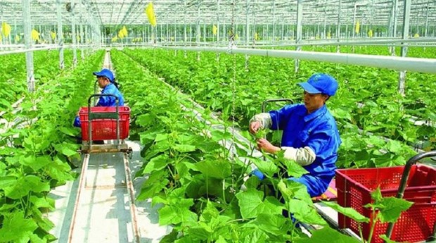 New mindset for Vietnam’s agriculture economy: Minister