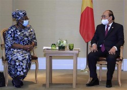 Việt Nam đóng góp hết sức mình vào công việc chung của WTO